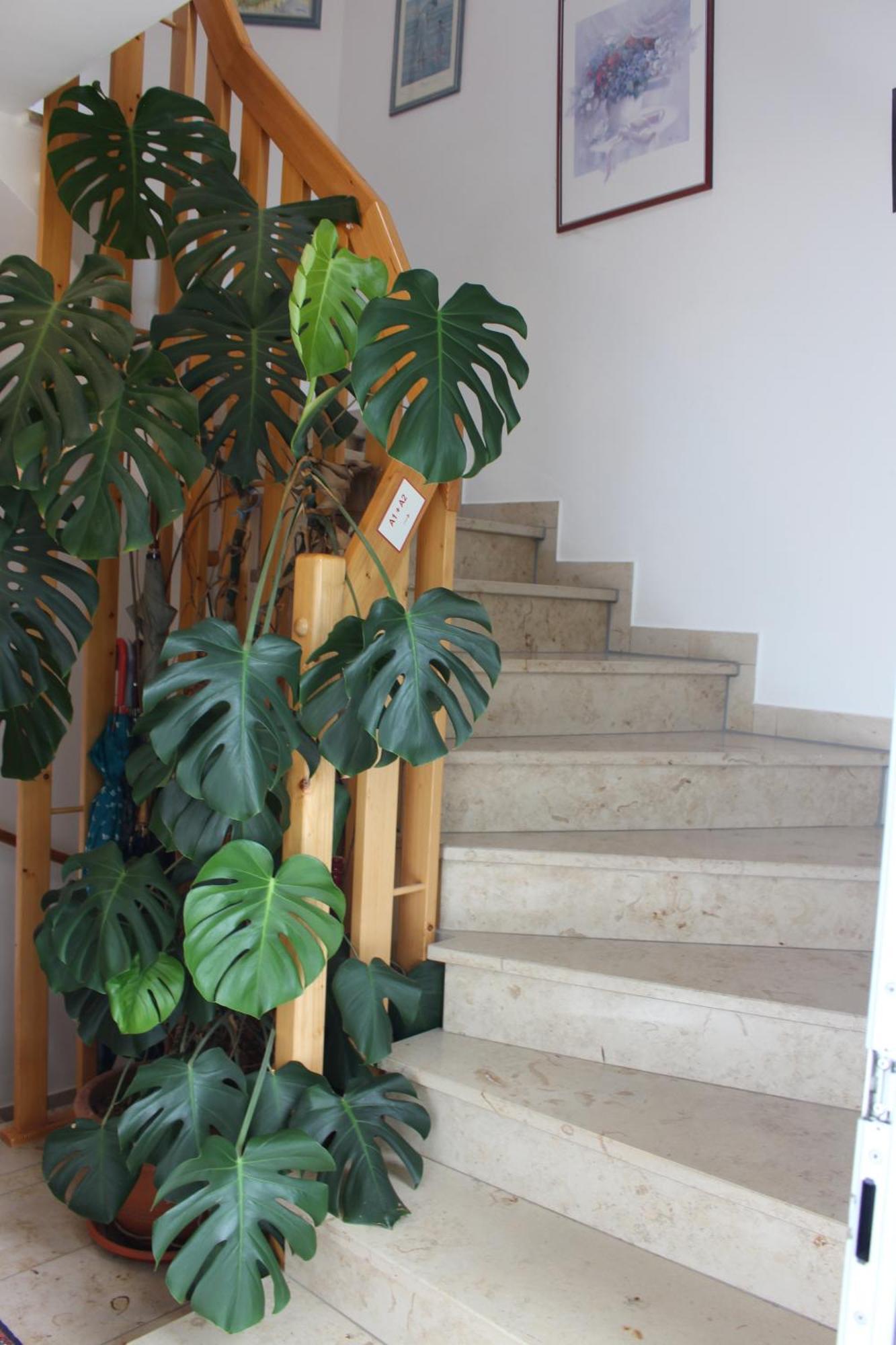 שוואנדורף אין ביירן Landhotel Grabinger מראה חיצוני תמונה